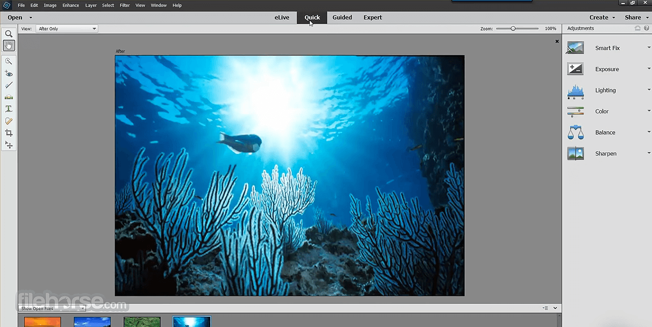 download adobe photoshop elements 2019 trial